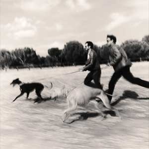 Taburete: El perro que fuma - portada mediana