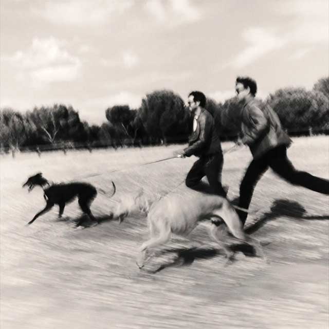 Taburete: El perro que fuma - portada