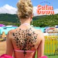 Taylor Swift: You need to calm down - portada reducida