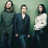 The Cardigans / 1