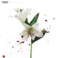 The Cult: Hidden City - portada mediana