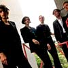 The Horrors / 1