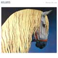 The Killers: Dying breed - portada reducida