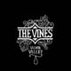 The Vines: Vision Valley - portada reducida