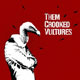 Them Crooked Vultures - portada reducida