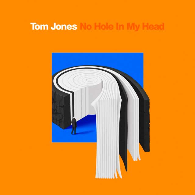 Tom Jones: No hole in my head - portada