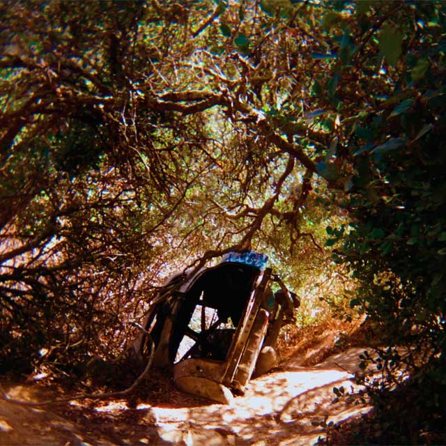 Ty Segall: Possession - portada