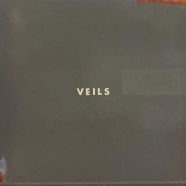 Vanessa Carlton: Veils - portada