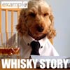 Example: Whisky story - portada reducida