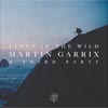 Martin Garrix con Third Party y John Martin: Lions in the wild - portada reducida