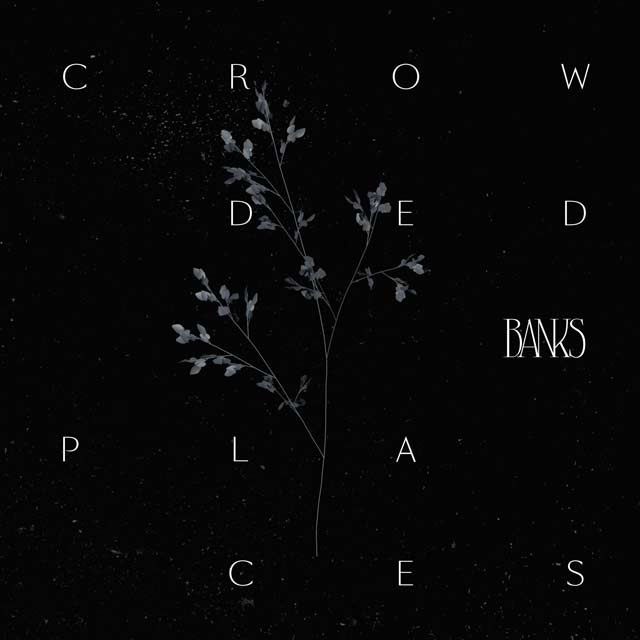 Banks: Crowded places - portada