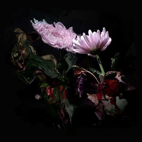 Lo Moon: Loveless - portada