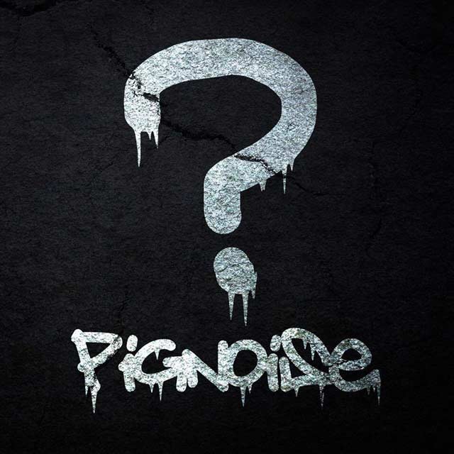 Pignoise: Interrogante - portada