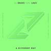 DJ Snake con Lauv: A different way - portada reducida