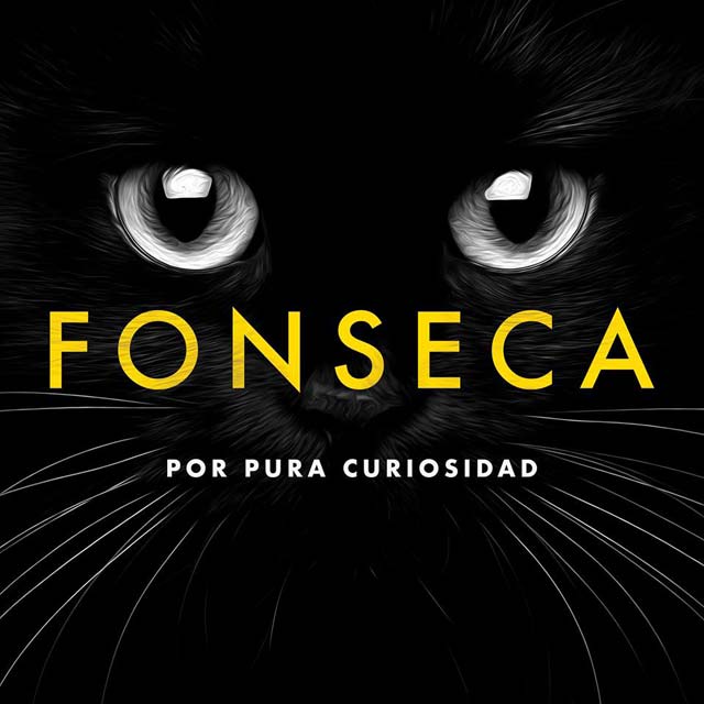 Fonseca: Por pura casualidad - portada
