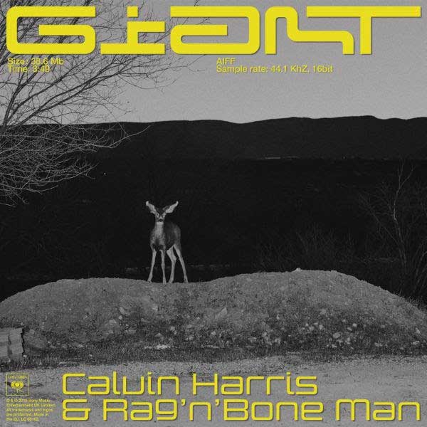 Calvin Harris con Rag'n'Bone Man: Giant - portada