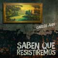 Saben que resistiremos - portada reducida