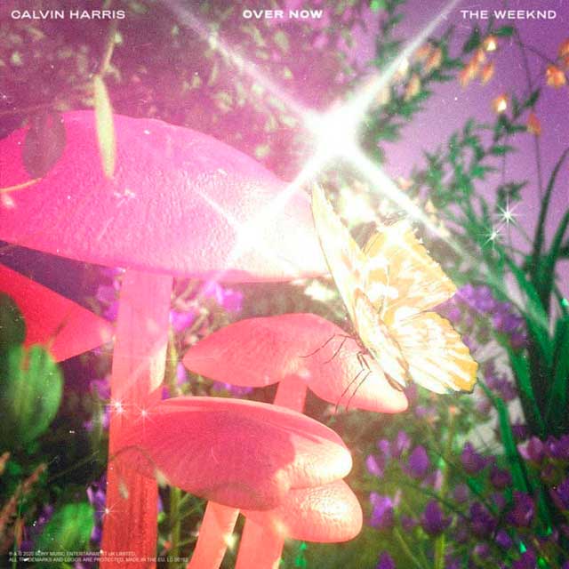 Calvin Harris con The Weeknd: Over now - portada