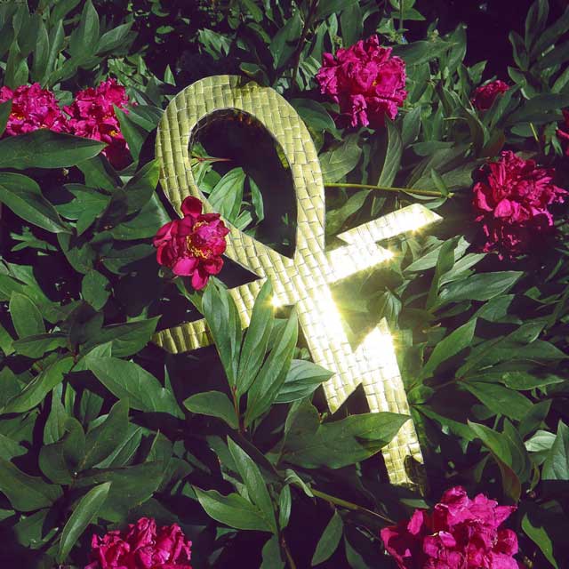 Temples: Paraphernalia - portada