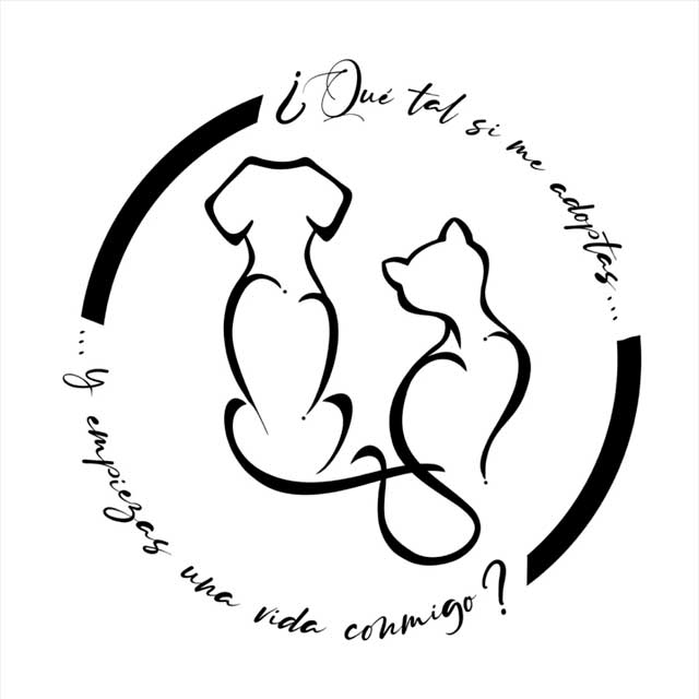 Alex Ubago con Pedro Guerra, Funambulista y Conchita: ¿Qué tal si me adoptas? - portada