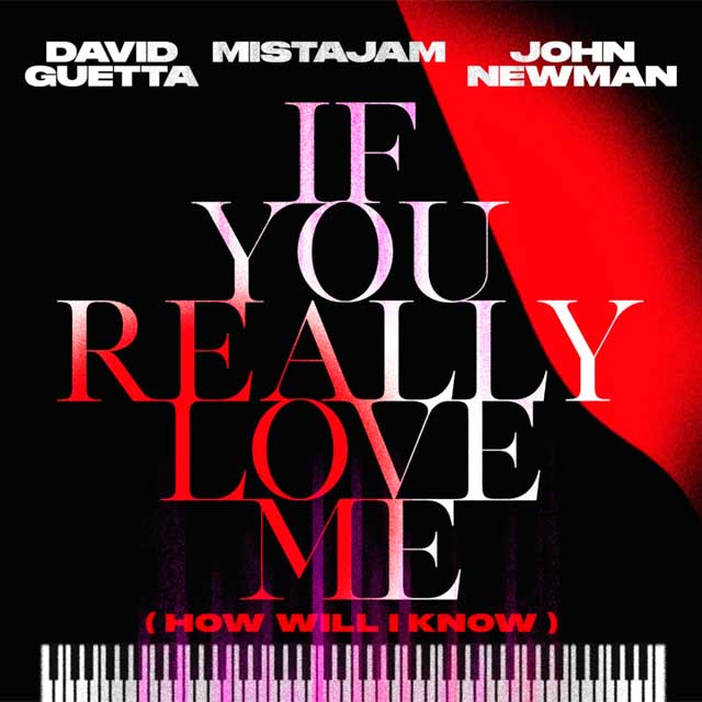David Guetta con John Newman y MistaJam: If you really love me (How will I know) - portada