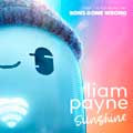 Liam Payne: Sunshine - portada reducida