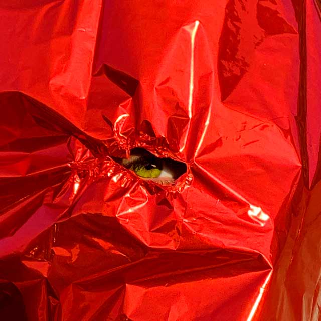 Sen Senra: Globo - portada