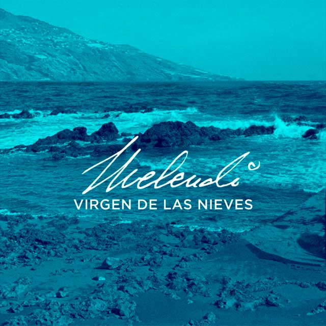 Melendi: Virgen de las nieves - portada