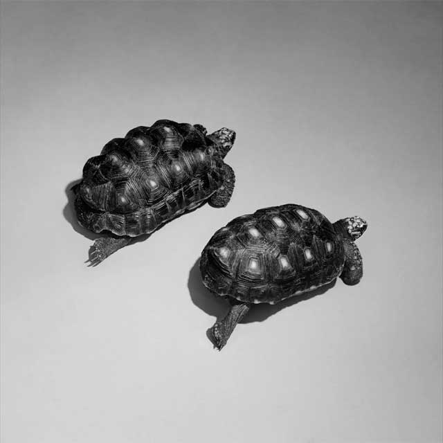 Sam Smith: Love is a stillness - portada