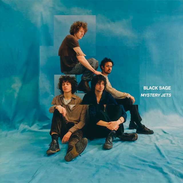 Mystery Jets: Black sage - portada