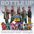 Bottle up - portada reducida