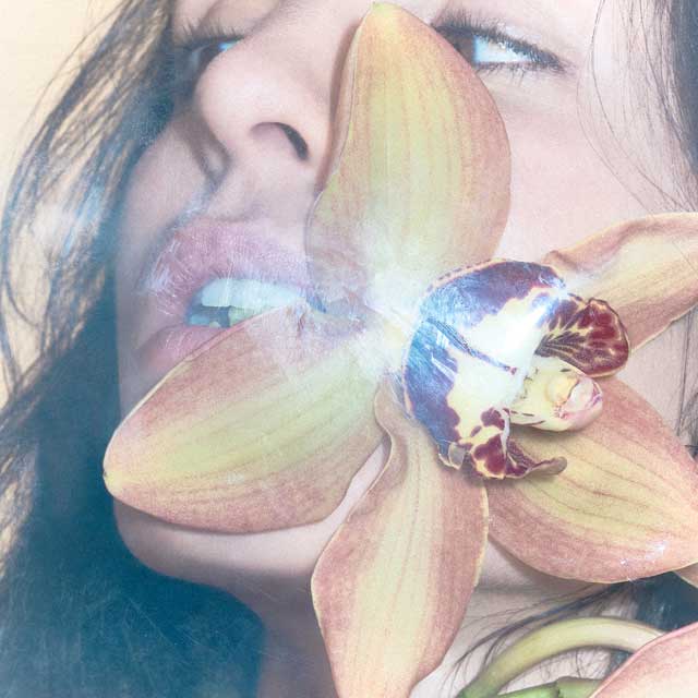 Natalia Lacunza: Flor de canela - portada