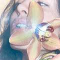 Flor de canela - portada reducida