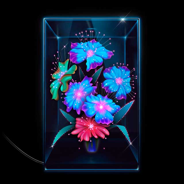 Xenia Rubinos: Una rosa - portada