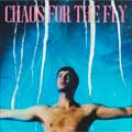 Grian Chatten: Chaos for the fly - portada reducida