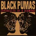 Black Pumas: Chronicles of a diamond - portada reducida