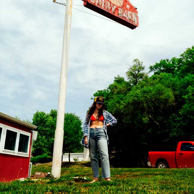 Waxahatchee: Tigers blood - portada