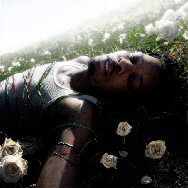 d4vd: Withered - portada