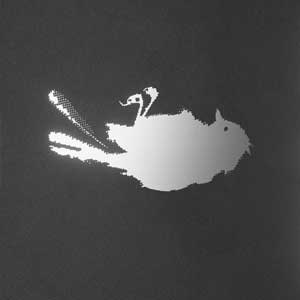 Cura mi corazón. Tributo a Triángulo de Amor Bizarro - portada mediana