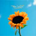 The Snuts: Joy in short moments - portada reducida