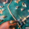 Denzel Curry y Kenny Beats: II - portada reducida