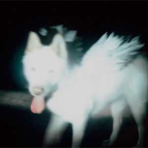 Fat Dog: Cancel me (I'm tired) - portada mediana