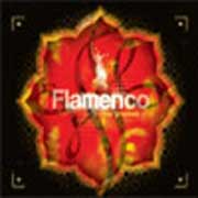 Flamenco New Grooves - portada mediana