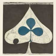 Grizzly Bear: Shields - portada mediana