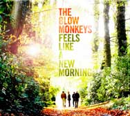 The Blow Monkeys: Feels like a new morning - portada mediana