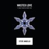 Steve Angello con Dougy: Wasted love - portada reducida