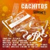 Cachitos Gourmet - portada reducida