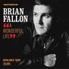Brian Fallon: A wonderful life - portada reducida