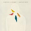 Timothy B. Schmit: Leap of faith - portada reducida