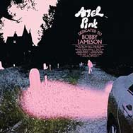 Ariel Pink: Dedicated to Bobby Jameson - portada mediana
